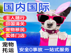 拉萨贡嘎机场快运国际宠物托运 【国